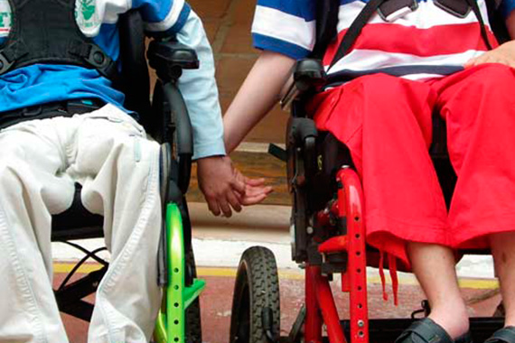 Misión, fines y valores. ayuda a discapacitados
